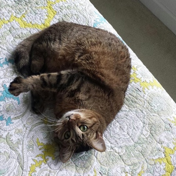 My Fur Babies!!! - Picture 6 of 8